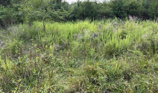 Photo #19 of Two Bid Road, Evington, VA 4.5 acres