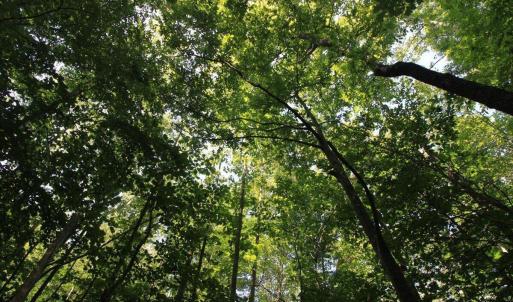 Photo #6 of Wilderness Way, Moneta, VA 3.0 acres