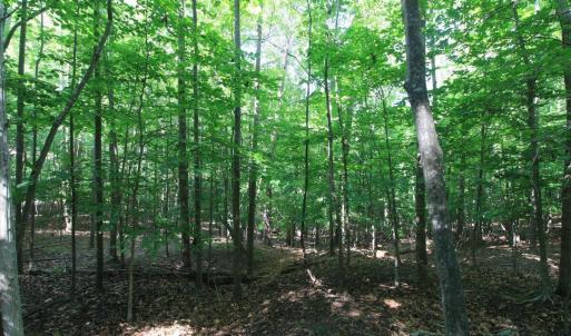 Photo #5 of Wilderness Way, Moneta, VA 3.0 acres