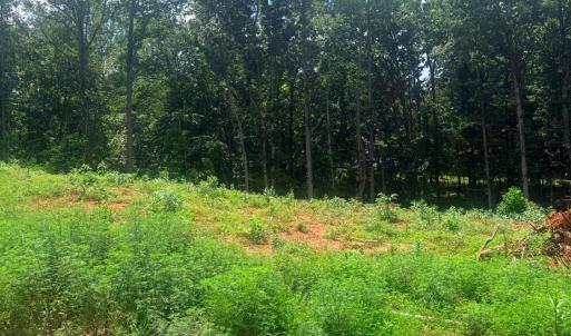 Photo #3 of 18 Oriole Court, Bedford, VA 0.4 acres