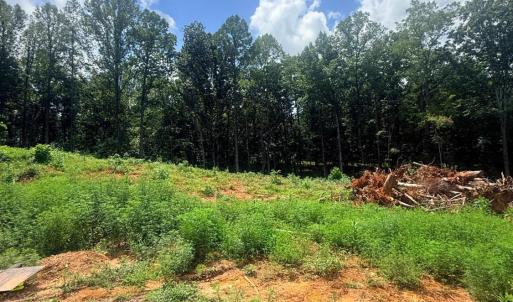 Photo #2 of 18 Oriole Court, Bedford, VA 0.4 acres