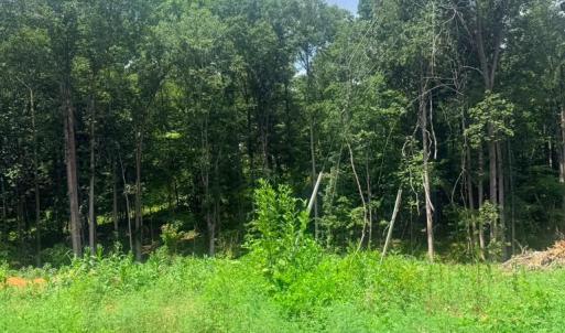Photo #3 of 19 Oriole Court, Bedford, VA 0.6 acres