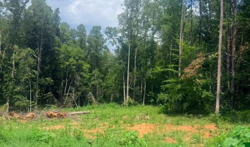 Photo #1 of 19 Oriole Court, Bedford, VA 0.6 acres