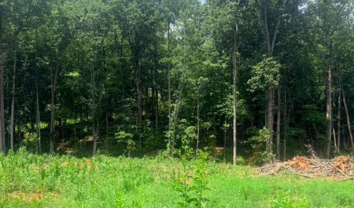 Photo #2 of 19 Oriole Court, Bedford, VA 0.6 acres