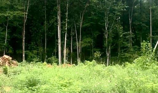 Photo #2 of 20 Oriole Court, Bedford, VA 0.5 acres