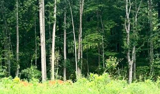 Photo #3 of 20 Oriole Court, Bedford, VA 0.5 acres