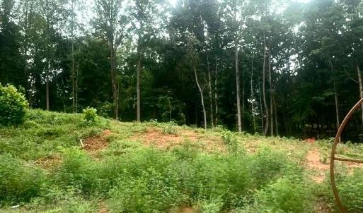 Photo #1 of 20 Oriole Court, Bedford, VA 0.5 acres