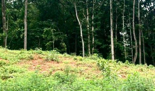 Photo #4 of 20 Oriole Court, Bedford, VA 0.5 acres