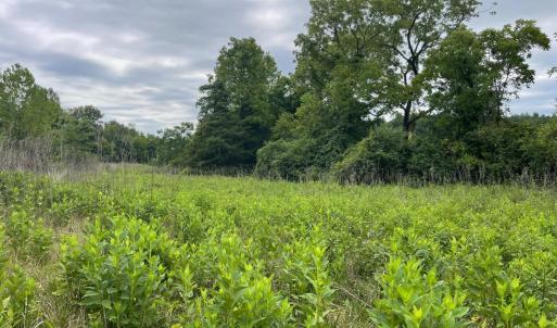 Photo #4 of Moneta Road, Bedford, VA 35.6 acres
