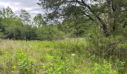 Photo #3 of Moneta Road, Bedford, VA 35.6 acres