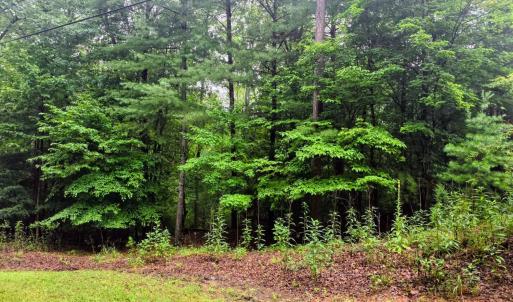 Photo #2 of Gap Bridge Road, Moneta, VA 0.9 acres