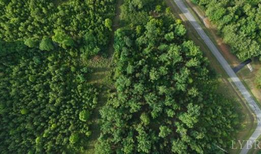 Photo #13 of Lot 301 Runaway Bay, Lynch Station, VA 2.6 acres