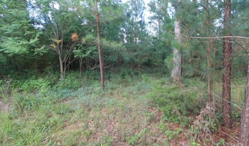 Photo #10 of Lot 301 Runaway Bay, Lynch Station, VA 2.6 acres
