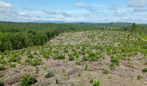 Photo #10 of Weatherford Drive, Gretna, VA 17.8 acres