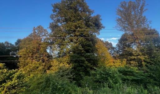 Photo #5 of S Amherst Highway, Monroe, VA 33.7 acres