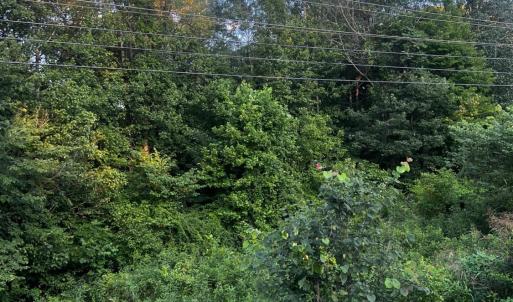 Photo #7 of S Amherst Highway, Monroe, VA 33.7 acres