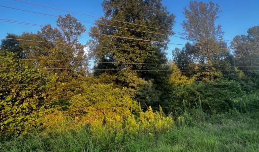 Photo #6 of S Amherst Highway, Monroe, VA 33.7 acres