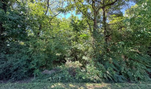 Photo #4 of 11 Hill Crest Lane, Chatham, VA 0.7 acres
