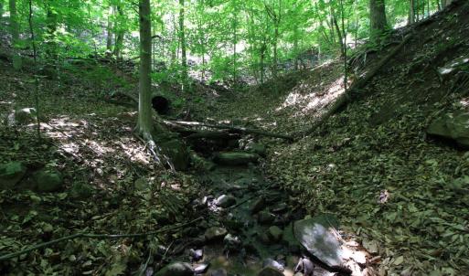 Photo #6 of Hickory Falls Road, Blue Ridge, VA 3.0 acres