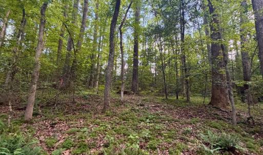 Photo #24 of 2400 Tribble Lane, Goochland, VA 9.0 acres