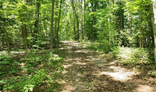 Photo #6 of 2400 Tribble Lane, Goochland, VA 9.0 acres