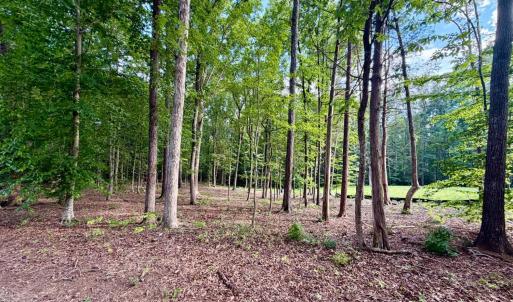 Photo #26 of 2400 Tribble Lane, Goochland, VA 9.0 acres