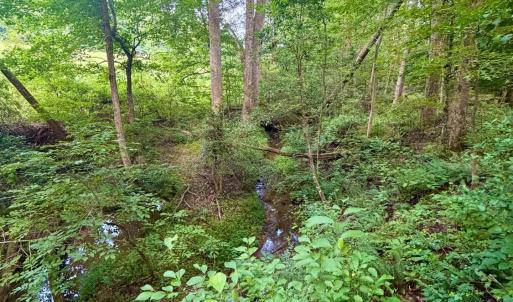 Photo #22 of 2400 Tribble Lane, Goochland, VA 9.0 acres
