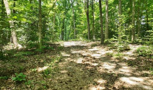 Photo #9 of 2400 Tribble Lane, Goochland, VA 9.0 acres