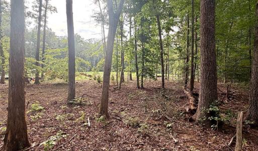 Photo #27 of 2400 Tribble Lane, Goochland, VA 9.0 acres