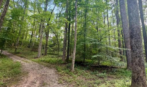Photo #25 of 2400 Tribble Lane, Goochland, VA 9.0 acres