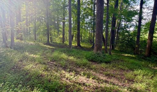 Photo #20 of 2400 Tribble Lane, Goochland, VA 9.0 acres