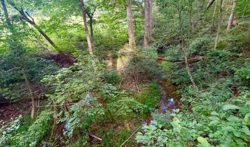 Photo #23 of 2400 Tribble Lane, Goochland, VA 9.0 acres