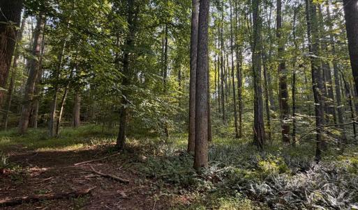Photo #22 of 2400 Tribble Lane, Goochland, VA 9.0 acres