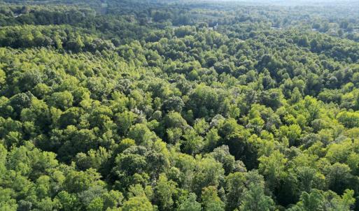 Photo #12 of 3315 Amherst Highway, Monroe, VA 33.7 acres