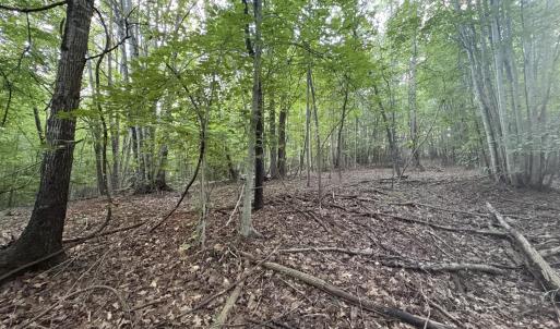 Flat Area towards back of lot