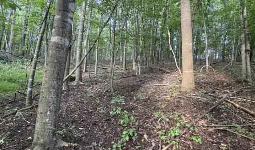 Photo #25 of 3315 Amherst Highway, Monroe, VA 33.7 acres