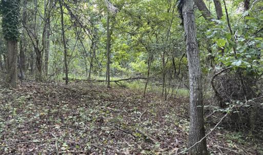Flat area towards back of lot