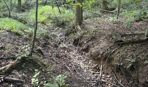 Wet weather creek bed 1