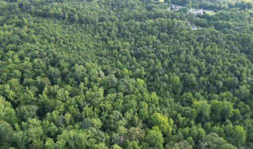 Photo #10 of 3315 Amherst Highway, Monroe, VA 33.7 acres
