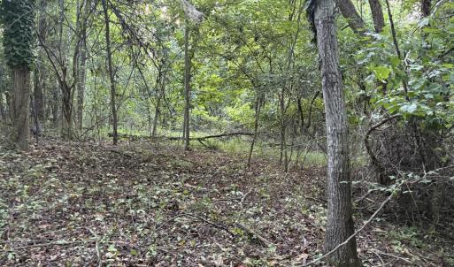 Flat area towards back of lot