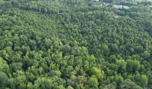 Photo #10 of 3311 Amherst Highway, Monroe, VA 33.7 acres