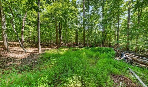 Photo #16 of 1091 Silver Place, Moneta, VA 1.3 acres