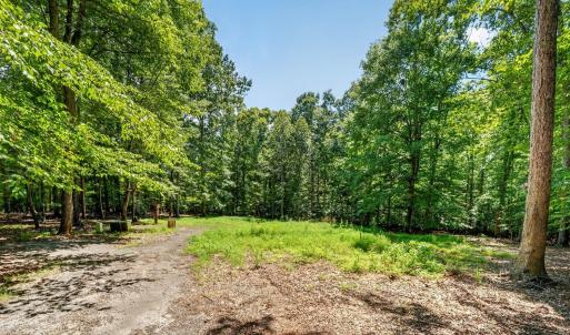 Photo #1 of 1091 Silver Place, Moneta, VA 1.3 acres