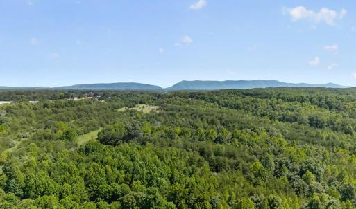 Photo #20 of 1091 Silver Place, Moneta, VA 1.3 acres