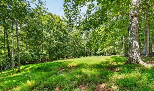 Photo #12 of 1091 Silver Place, Moneta, VA 1.3 acres