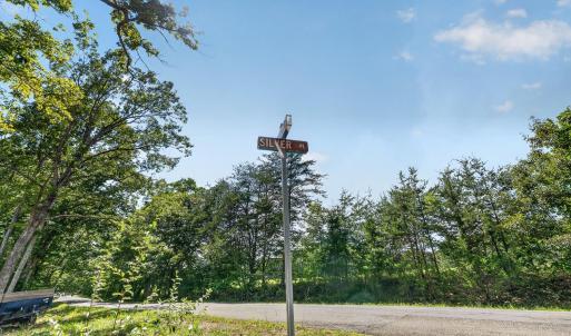 Photo #22 of 1091 Silver Place, Moneta, VA 1.3 acres
