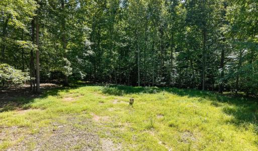 Photo #19 of 1091 Silver Place, Moneta, VA 1.3 acres