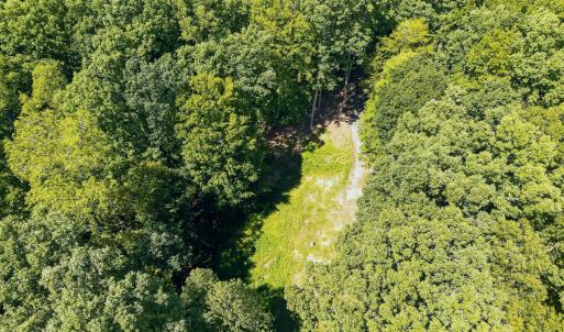 Photo #3 of 1091 Silver Place, Moneta, VA 1.3 acres