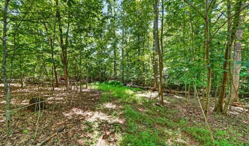 Photo #17 of 1091 Silver Place, Moneta, VA 1.3 acres