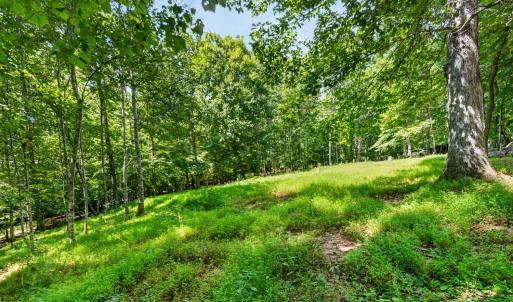 Photo #14 of 1091 Silver Place, Moneta, VA 1.3 acres